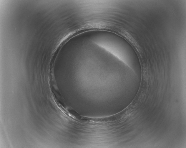 X0000058820434200510171541