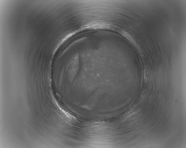 X0000058820438200510171541