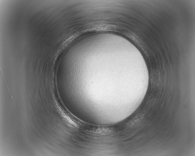 X0000058820445200510171541