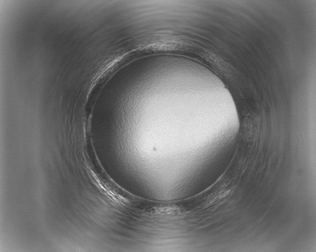 X0000058820446200510171541