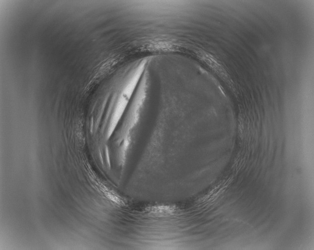 X0000058820449200510171541