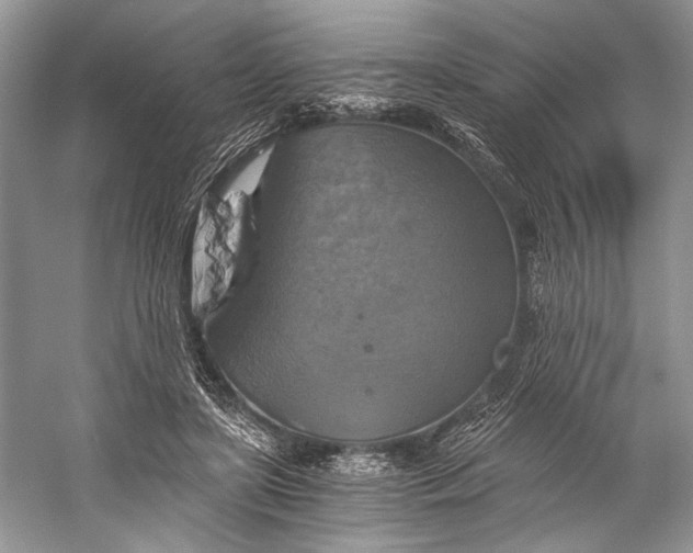 X0000058820451200510171541