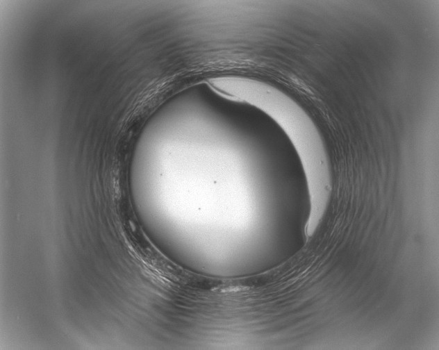 X0000058820452200510171541