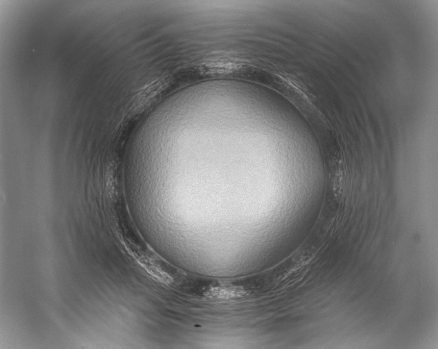 X0000058820455200510171541