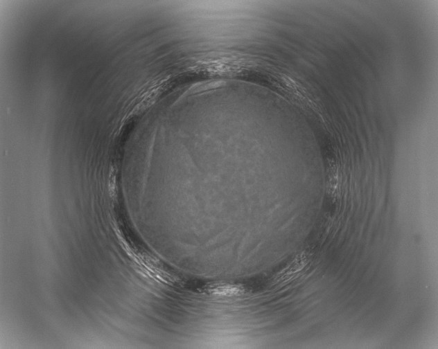 X0000058820456200510171541