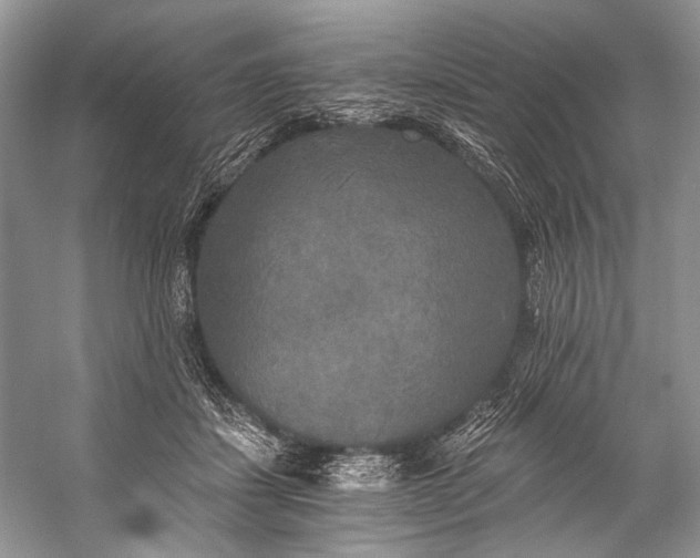 X0000058820459200510171541