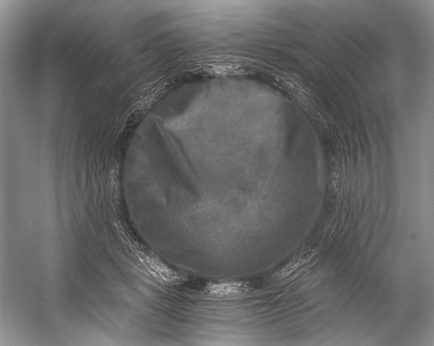 X0000058820461200510171541