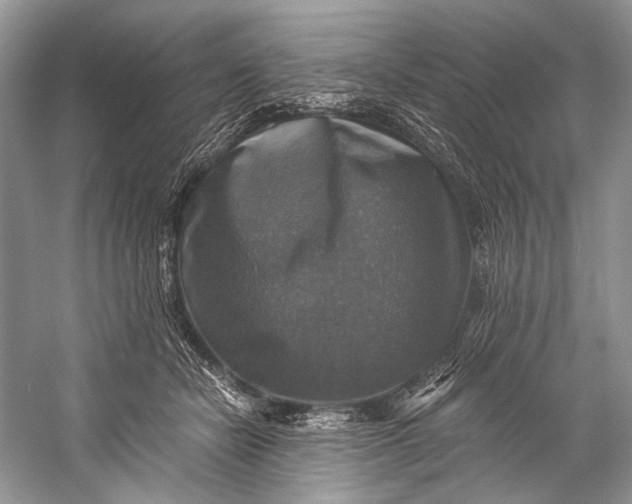 X0000058820462200510171541