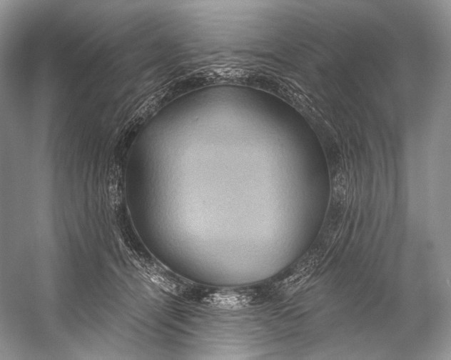 X0000058820464200510171541