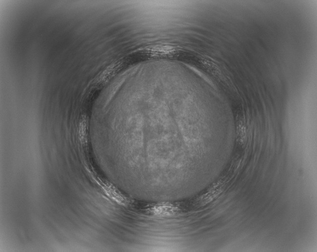 X0000058820468200510171541