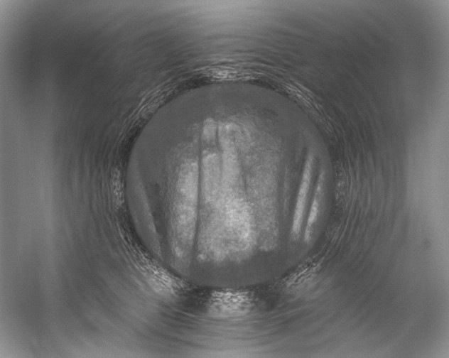 X0000058820469200510171541