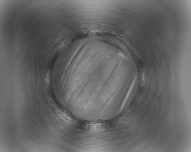 X0000058820472200510171542