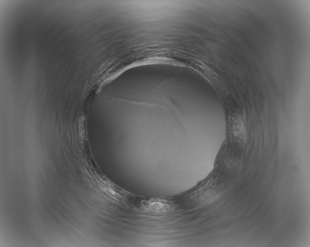 X0000058820475200510171542
