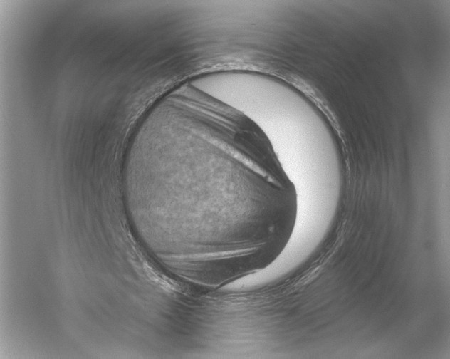 X0000058820481200510171541