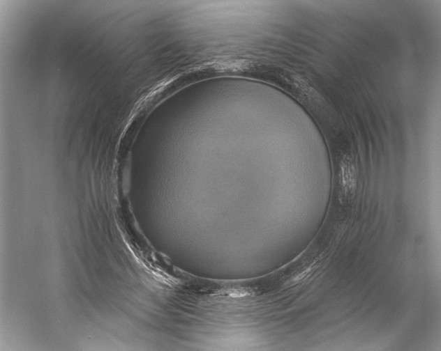 X0000058820492200510171541
