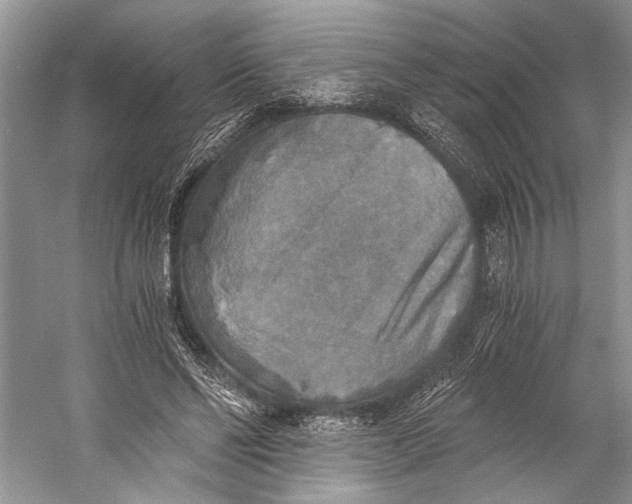 X0000058820494200510171541