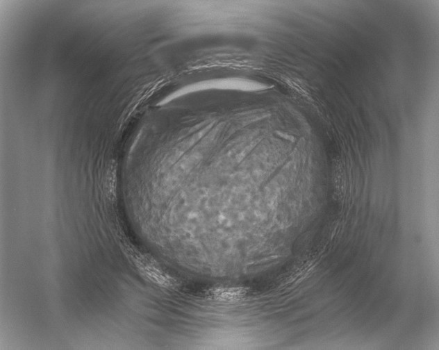 X0000058820495200510171541