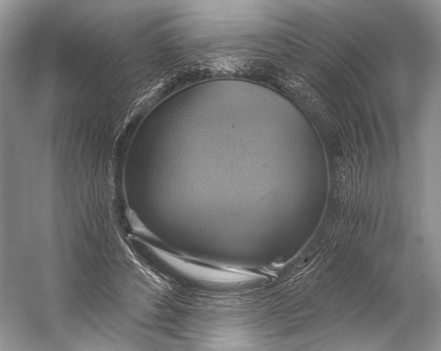 X0000058820496200510171541