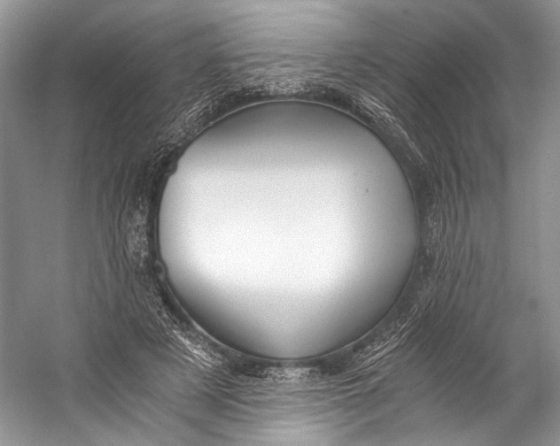 X0000058820497200510171541