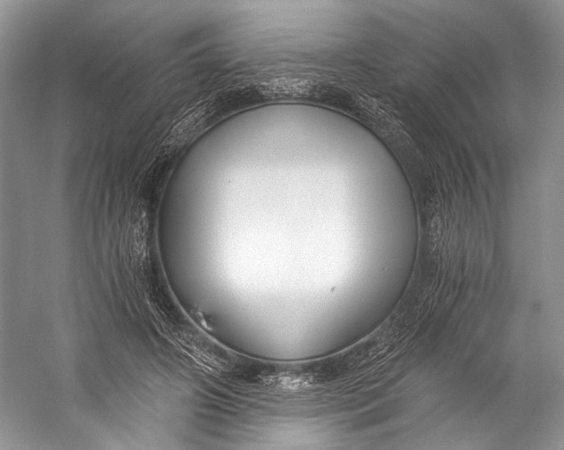X0000058820498200510171541