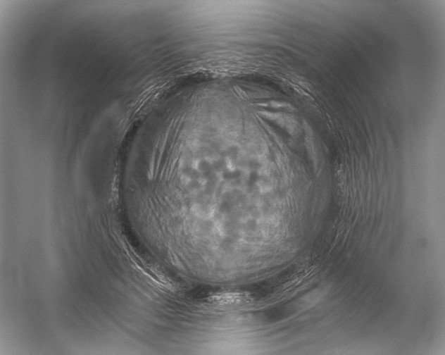 X0000058820499200510171541