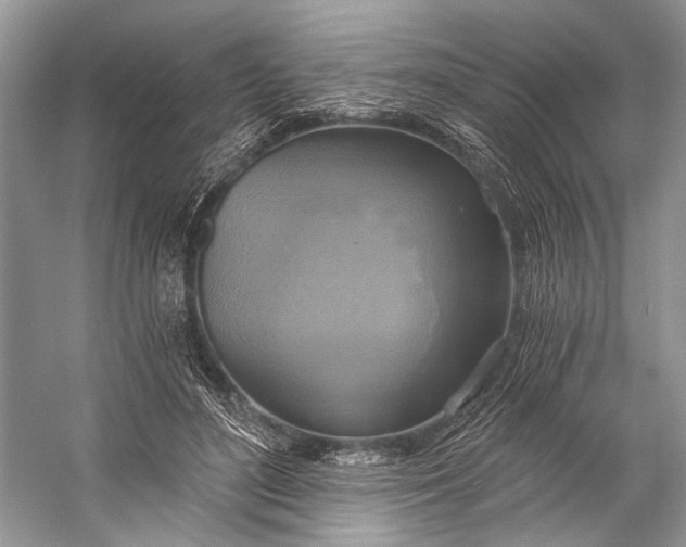 X0000058820500200510171541