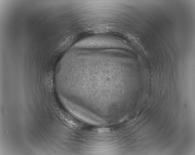 X0000058820501200510171541