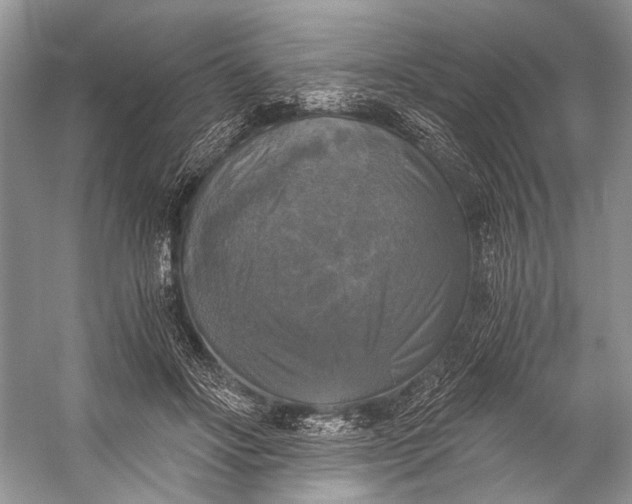 X0000058820502200510171541