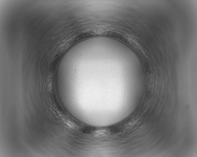 X0000058820505200510171540