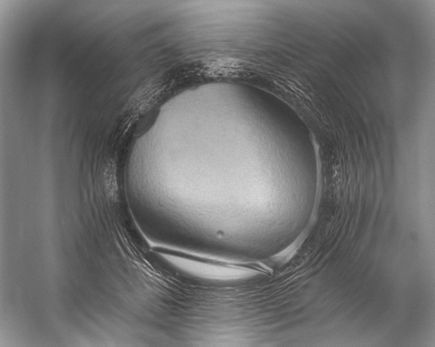 X0000058820508200510171540
