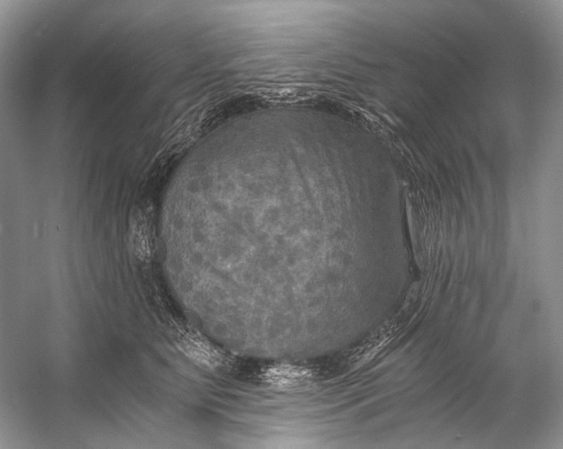 X0000058820515200510171540