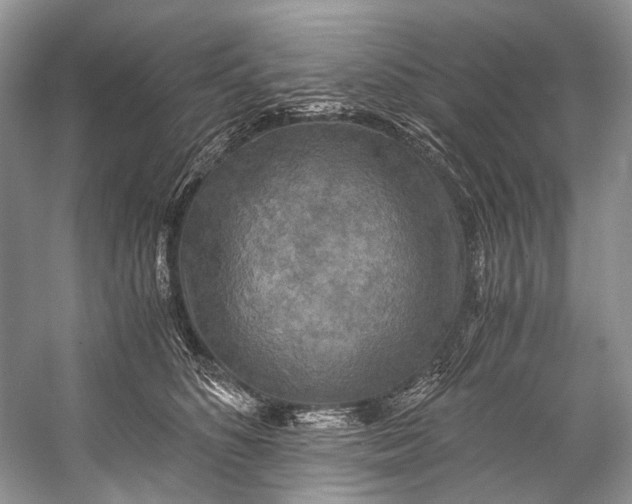 X0000058820516200510171540