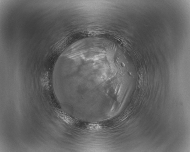 X0000058820519200510171540