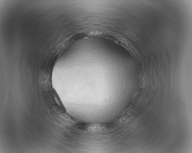 X0000058820521200510171540