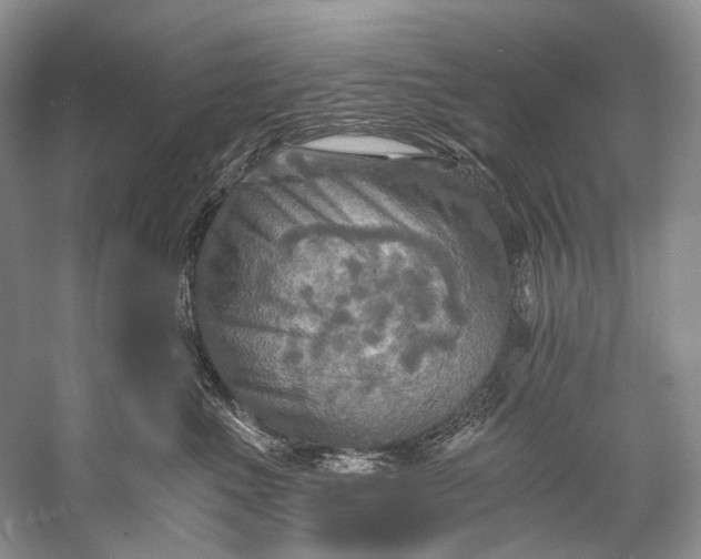 X0000058820523200510171540
