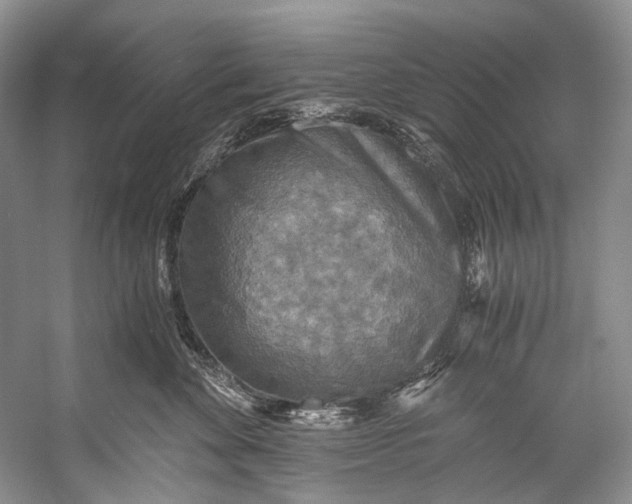 X0000058820524200510171540