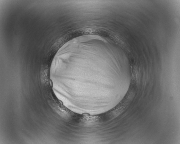 X0000058820526200510171540
