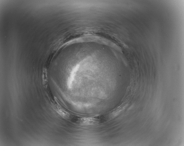 X0000058820528200510171540
