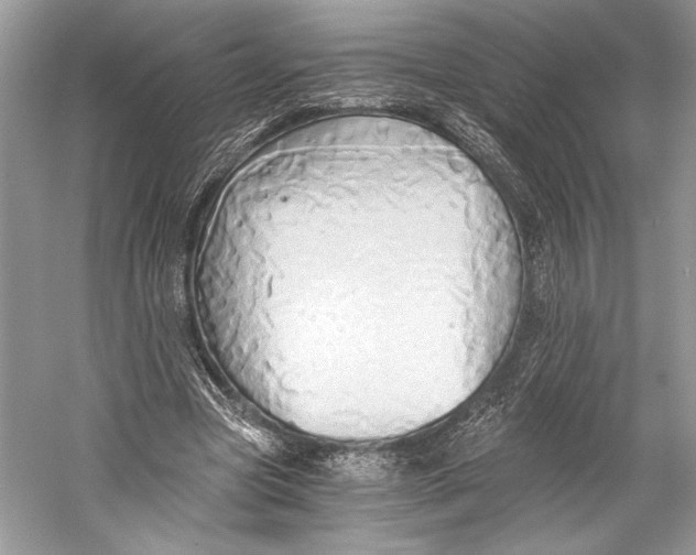 X0000058820537200510171539
