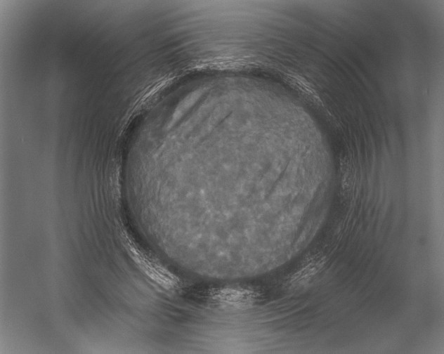 X0000058820542200510171539