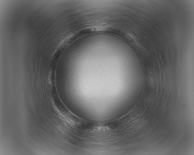 X0000058820543200510171539