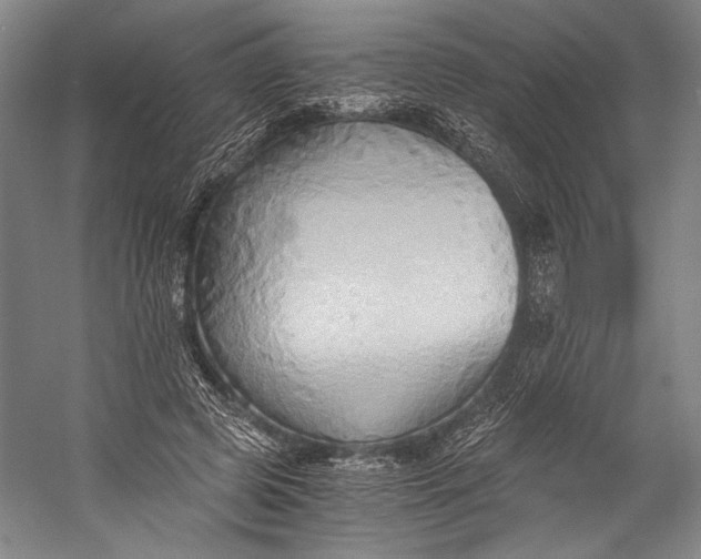 X0000058820545200510171540