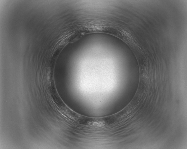X0000058820548200510171540
