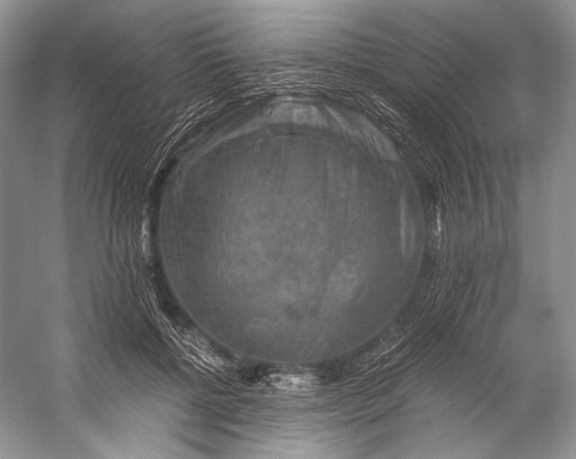 X0000058820552200510171540
