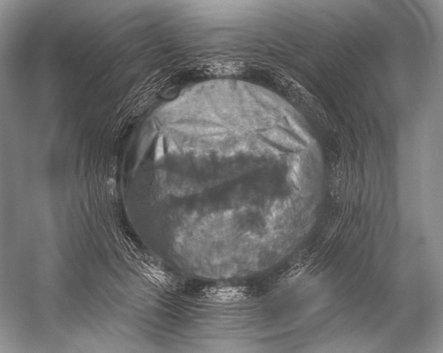 X0000058820553200510171540