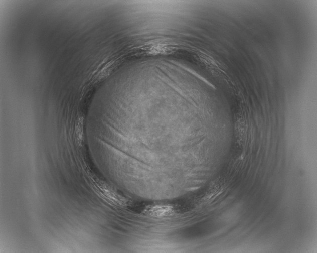 X0000058820554200510171540