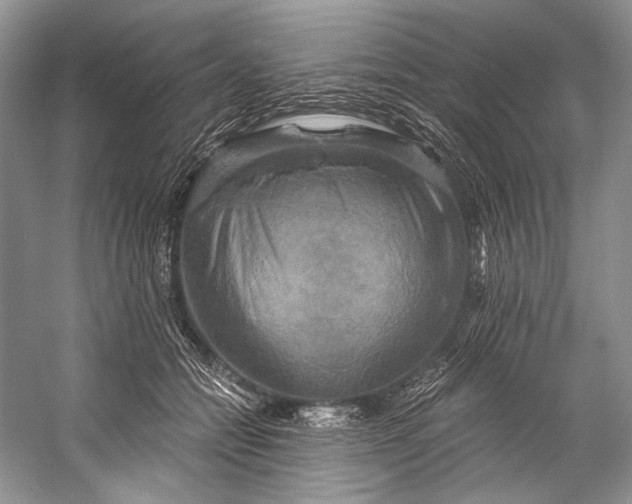 X0000058820558200510171540
