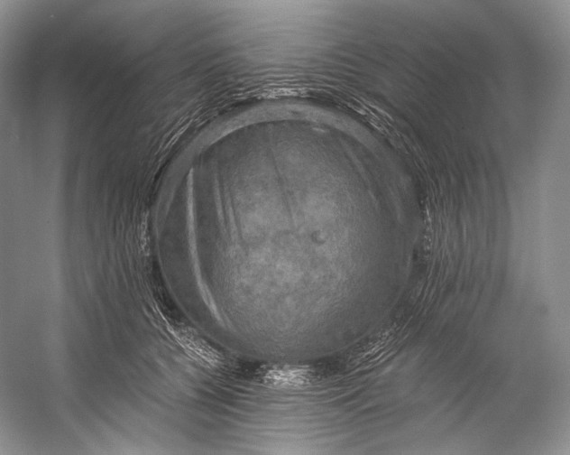 X0000058820560200510171540