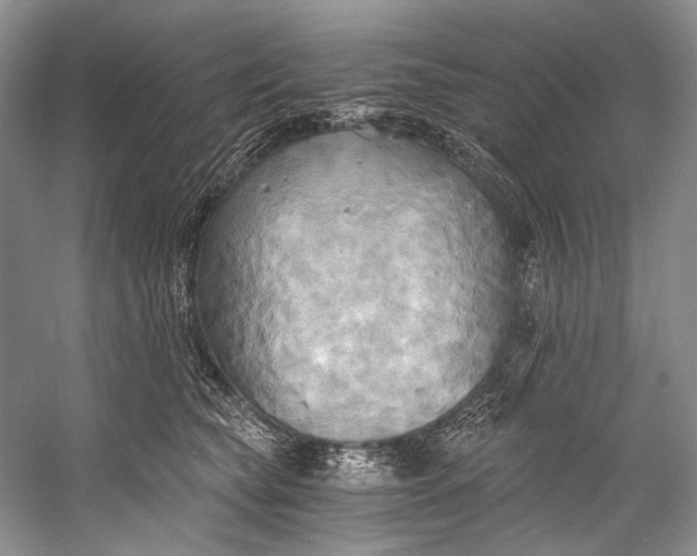 X0000058820565200510171540
