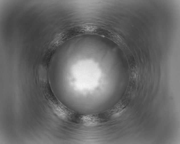 X0000058820568200510171540